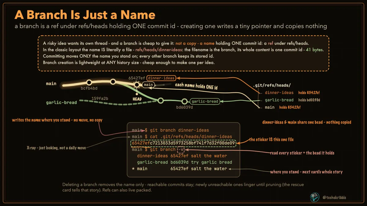 A Branch Is Just a Name