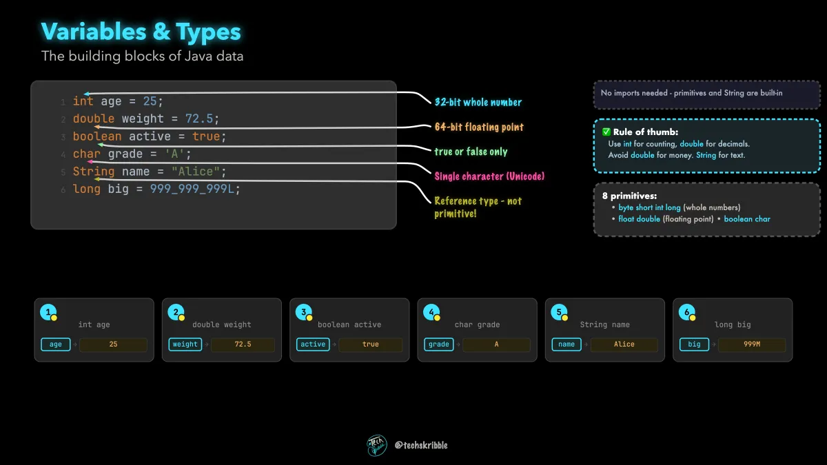 Variables & Primitive Types